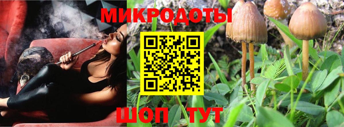Галлюциногенные грибы Cubensis Йошкар-Ола